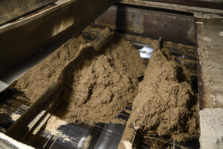 Bagasse