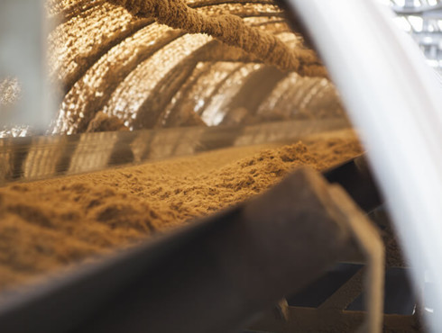 Convoyeur bagasse, biomasse