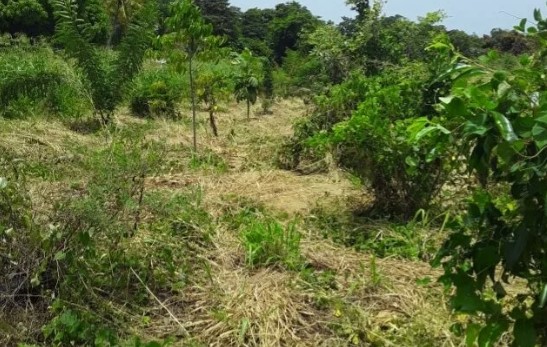 Biodiversité